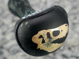 Midnight Fossil Stone