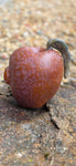 Stoned Fruit