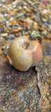 Stoned Fruit