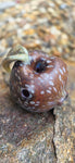 Stoned Fruit